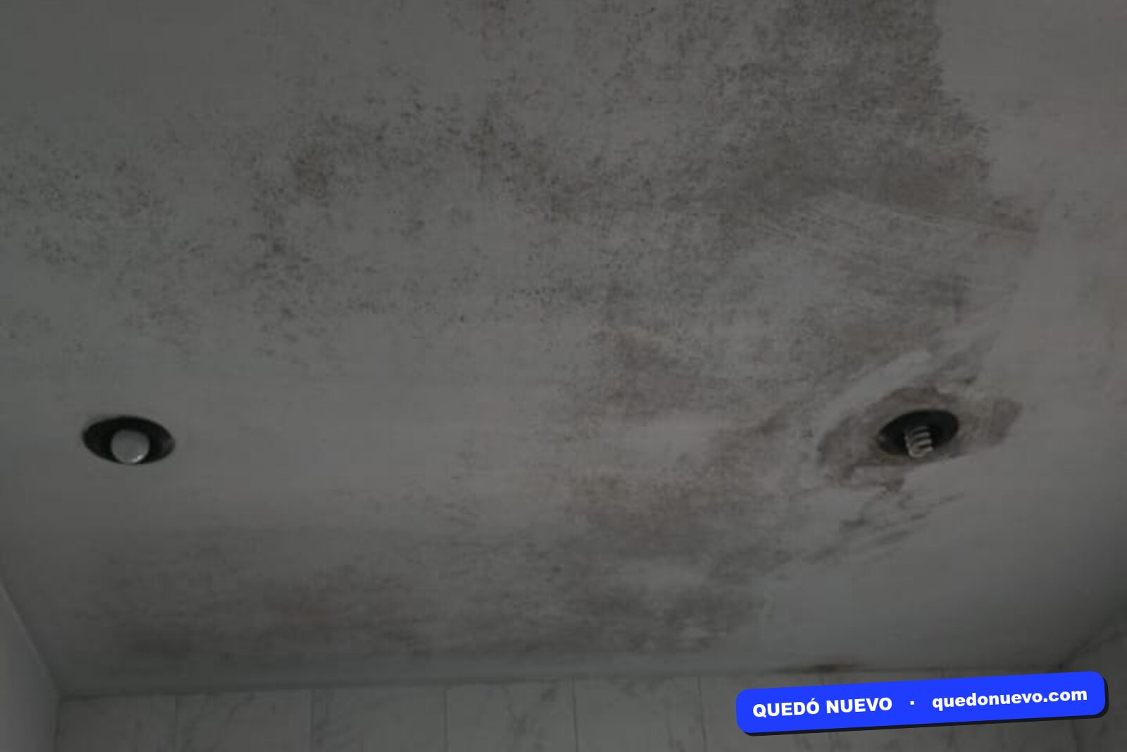 Cielorraso de baño con hongo y humedad antes del tratamiento