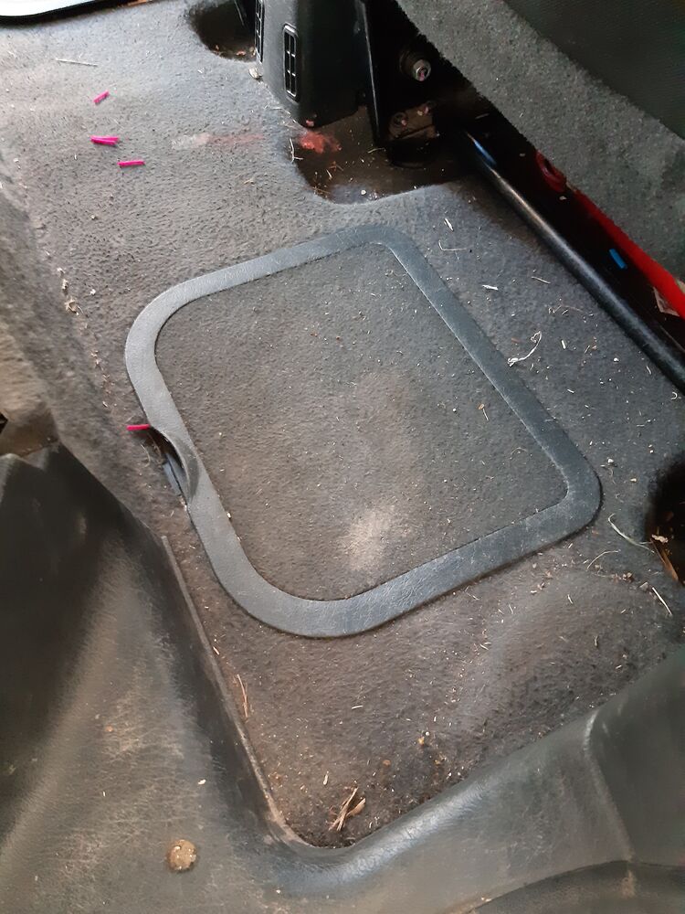 Piso trasero de la Berlingo con tierra y hojas, antes de la limpieza
