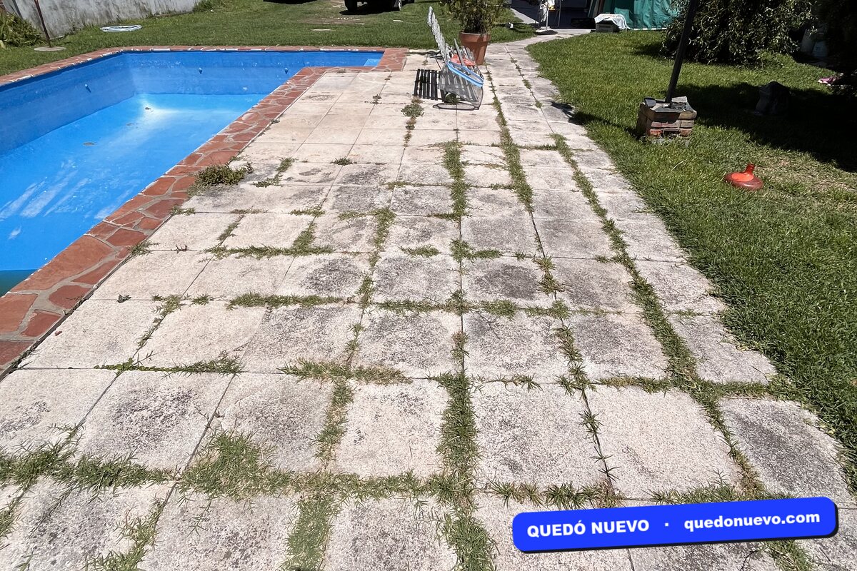 Borde de pileta con pasto entre las baldosas antes del hidrolavado